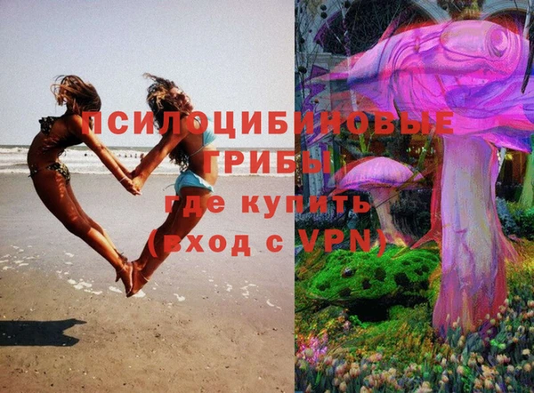 а пвп мука Гусев