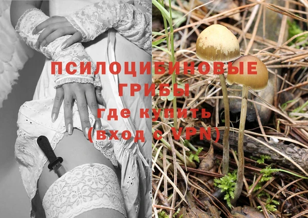 синтетический гашиш Гусиноозёрск