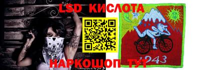 ГАЛЛЮЦИНОГЕННЫЕ ГРИБЫ Ачхой-Мартан