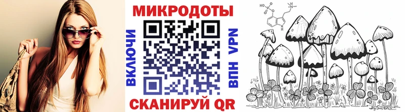 Псилоцибиновые грибы мицелий  это наркотические препараты  Борзя  kraken ССЫЛКА 