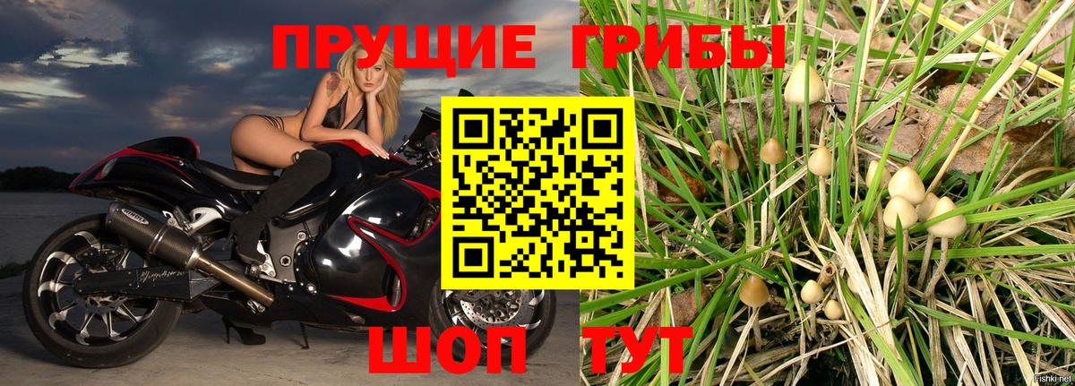 продажа наркотиков  Борзя  Галлюциногенные грибы Magic Shrooms  Галлюциногенные грибы ЛСД 