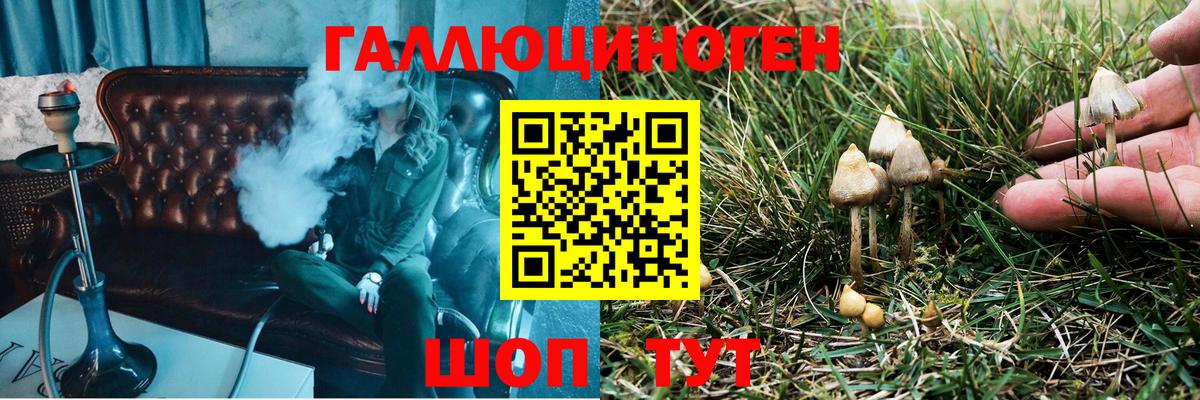Борзя  Псилоцибиновые грибы мухоморы  Вход с VPN 
